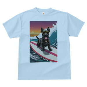 XReBbVeA TVc fB[X t@  t  vg JWA 킢 lԗp h ̃fUC ʔ T[tB XReBbVeA C g [Ă