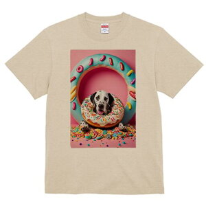 _VA TVc fB[X t@  t  vg JWA 킢 lԗp h ̃fUC ʔ h[ic _VA XC[c LfB sN