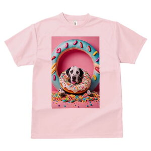 _VA TVc fB[X t@  t  vg JWA 킢 lԗp h ̃fUC ʔ h[ic _VA XC[c LfB sN