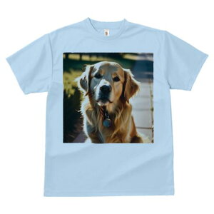 S[fgo[ TVc fB[X t@  t  vg JWA 킢 lԗp h ̃fUC ʔ U S[fgo[  ybg 