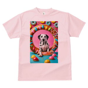 _VA TVc fB[X t@  t  vg JWA 킢 lԗp h ̃fUC ʔ h[ic _VA XC[c َq Jt