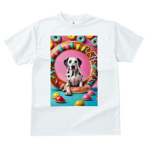 _VA TVc fB[X t@  t  vg JWA 킢 lԗp h ̃fUC ʔ h[ic _VA XC[c َq Jt