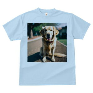 S[fgo[ TVc fB[X t@  t  vg JWA 킢 lԗp h ̃fUC ʔ U S[fgo[   ybg