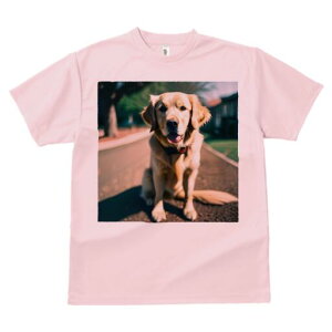 S[fgo[ TVc fB[X t@  t  vg JWA 킢 lԗp h ̃fUC ʔ U S[fgo[   ybg