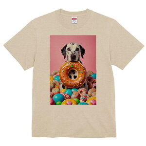 _VA TVc fB[X t@  t  vg JWA 킢 lԗp h ̃fUC ʔ h[ic _VA XC[c َq Jt