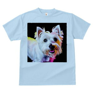 EGXgnChzCgeA TVc fB[X t@  t  vg JWA 킢 lԗp h ̃fUC ʔ EGXgnChzCgeA