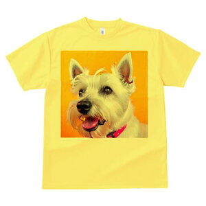 EGXgnChzCgeA TVc fB[X t@  t  vg JWA 킢 lԗp h ̃fUC ʔ wi EGXgnChzCge