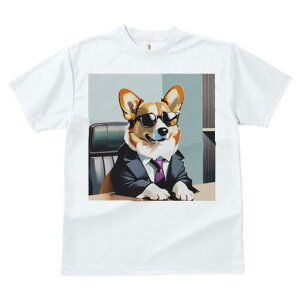 R[M[ TVc fB[X t@  t  vg JWA 킢 lԗp h ̃fUC ʔ X[c R[M[ TOX lN^C ֎q