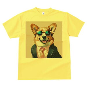 R[M[ TVc fB[X t@  t  vg JWA 킢 lԗp h ̃fUC ʔ TOX R[M[ X[c lN^C