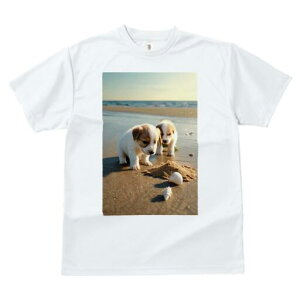 �W���b�N���b�Z���e���A T�V���c ���f�B�[�X ���t�@�� ���� �t�� ���� �v�����g �J�W���A�� ���킢�� �l�ԗp ���h ���������̃f�U�C�� �ʔ� �r�[�` �W���b�N���b�Z���e���A �C �� �L�k