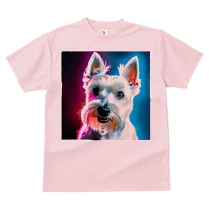 EGXgnChzCgeA TVc fB[X t@  t  vg JWA 킢 lԗp h ̃fUC ʔ EGXgnChzCgeA