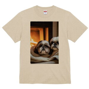 V[Y[ TVc fB[X t@  t  vg JWA 킢 lԗp h ̃fUC ʔ gF V[Y[ ѕz