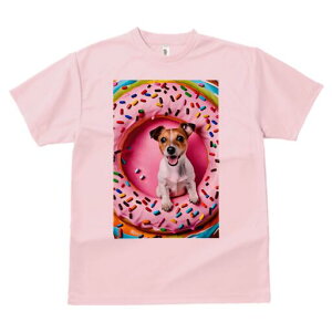 WbNbZeA TVc fB[X t@  t  vg JWA 킢 lԗp h ̃fUC ʔ h[ic WbNbZeA XvN