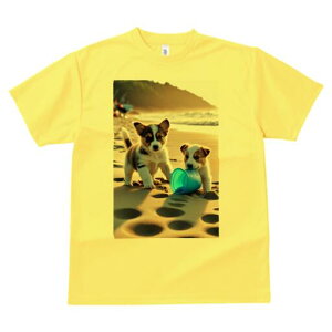 R[M[ TVc fB[X t@  t  vg JWA 킢 lԗp h ̃fUC ʔ r[` R[M[ C  oPc