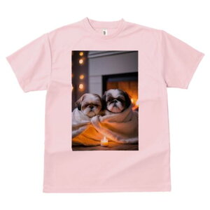 V[Y[ TVc fB[X t@  t  vg JWA 킢 lԗp h ̃fUC ʔ Lh V[Y[ gF ѕz 