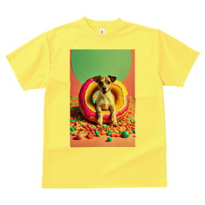 WbNbZeA TVc fB[X t@  t  vg JWA 킢 lԗp h ̃fUC ʔ h[ic WbNbZeA LfB