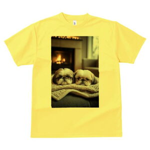 V[Y[ TVc fB[X t@  t  vg JWA 킢 lԗp h ̃fUC ʔ gF V[Y[ ѕz ~ g