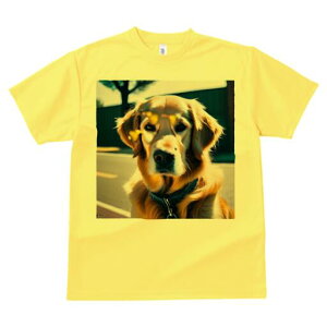 S[fgo[ TVc fB[X t@  t  vg JWA 킢 lԗp h ̃fUC ʔ H S[fgo[  tFX