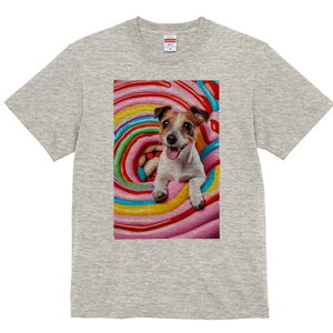 WbNbZeA TVc fB[X t@  t  vg JWA 킢 lԗp h ̃fUC ʔ LfB WbNbZeA XC[c 