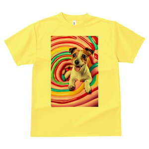 WbNbZeA TVc fB[X t@  t  vg JWA 킢 lԗp h ̃fUC ʔ LfB WbNbZeA XC[c 