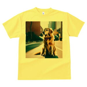 S[fgo[ TVc fB[X t@  t  vg JWA 킢 lԗp h ̃fUC ʔ lN^C S[fgo[ X