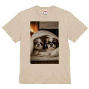 V[Y[ TVc fB[X t@  t  vg JWA 킢 lԗp h ̃fUC ʔ gF V[Y[ ѕz