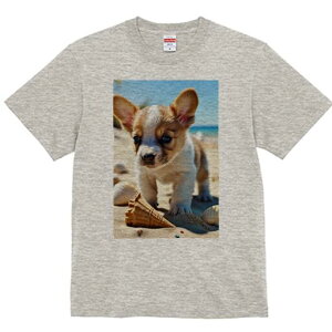 R[M[ TVc fB[X t@  t  vg JWA 킢 lԗp h ̃fUC ʔ r[` R[M[  Lk C