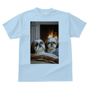 V[Y[ TVc fB[X t@  t  vg JWA 킢 lԗp h ̃fUC ʔ gF V[Y[ ѕz