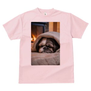 V[Y[ TVc fB[X t@  t  vg JWA 킢 lԗp h ̃fUC ʔ gF V[Y[ ѕz  ~