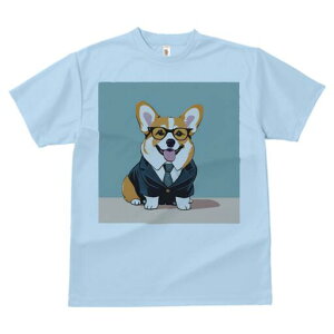 R[M[ TVc fB[X t@  t  vg JWA 킢 lԗp h ̃fUC ʔ Kl R[M[ X[c lN^C