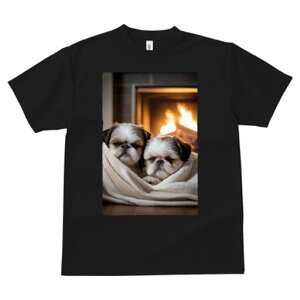 V[Y[ TVc fB[X t@  t  vg JWA 킢 lԗp h ̃fUC ʔ gF V[Y[ ѕz