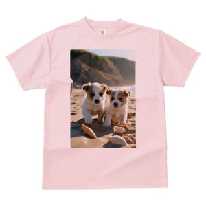 WbNbZeA TVc fB[X t@  t  vg JWA 킢 lԗp h ̃fUC ʔ r[` WbNbZeA C  Lk