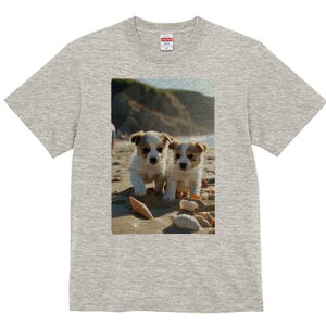 WbNbZeA TVc fB[X t@  t  vg JWA 킢 lԗp h ̃fUC ʔ r[` WbNbZeA C  Lk