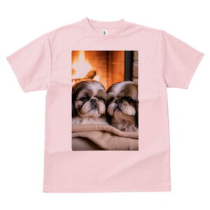 V[Y[ TVc fB[X t@  t  vg JWA 킢 lԗp h ̃fUC ʔ gF V[Y[