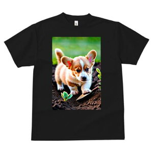 R[M[ TVc fB[X t@  t  vg JWA 킢 lԗp h ̃fUC ʔ  R[M[ y A d