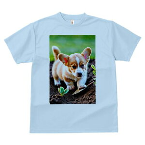 R[M[ TVc fB[X t@  t  vg JWA 킢 lԗp h ̃fUC ʔ  R[M[ y A d