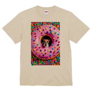 WbNbZeA TVc fB[X t@  t  vg JWA 킢 lԗp h ̃fUC ʔ h[ic WbNbZeA LfB