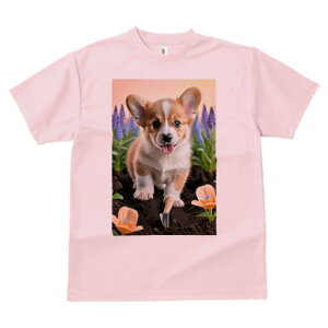 R[M[ TVc fB[X t@  t  vg JWA 킢 lԗp h ̃fUC ʔ  R[M[  y Vx