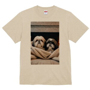 V[Y[ TVc fB[X t@  t  vg JWA 킢 lԗp h ̃fUC ʔ ѕz V[Y[