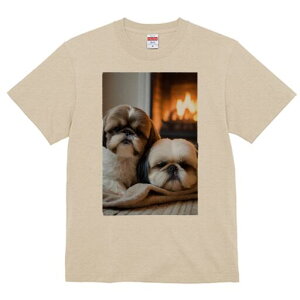 V[Y[ TVc fB[X t@  t  vg JWA 킢 lԗp h ̃fUC ʔ gF V[Y[ ѕz