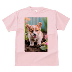 R[M[ TVc fB[X t@  t  vg JWA 킢 lԗp h ̃fUC ʔ  R[M[  y