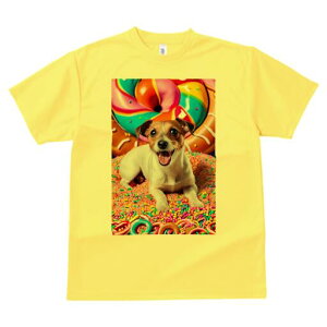 WbNbZeA TVc fB[X t@  t  vg JWA 킢 lԗp h ̃fUC ʔ h[ic WbNbZeA LfB 