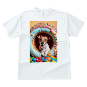 WbNbZeA TVc fB[X t@  t  vg JWA 킢 lԗp h ̃fUC ʔ h[ic WbNbZeA LfB 