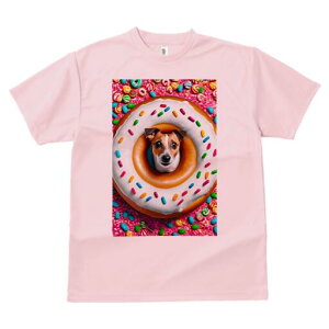 WbNbZeA TVc fB[X t@  t  vg JWA 킢 lԗp h ̃fUC ʔ h[ic WbNbZeA XvN