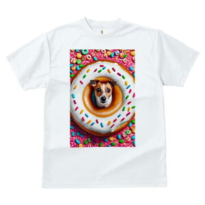 WbNbZeA TVc fB[X t@  t  vg JWA 킢 lԗp h ̃fUC ʔ h[ic WbNbZeA XvN