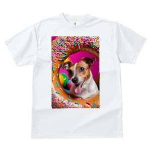 WbNbZeA TVc fB[X t@  t  vg JWA 킢 lԗp h ̃fUC ʔ h[ic WbNbZeA XvN