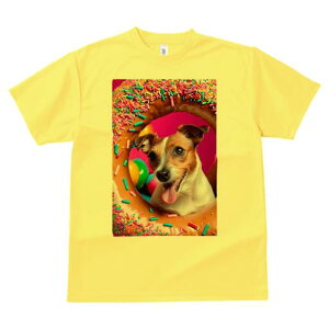 WbNbZeA TVc fB[X t@  t  vg JWA 킢 lԗp h ̃fUC ʔ h[ic WbNbZeA XvN