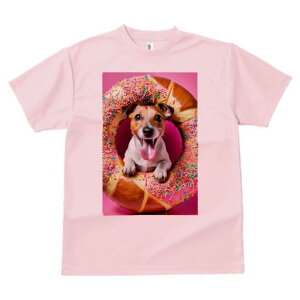 WbNbZeA TVc fB[X t@  t  vg JWA 킢 lԗp h ̃fUC ʔ h[ic WbNbZeA XvN