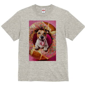 WbNbZeA TVc fB[X t@  t  vg JWA 킢 lԗp h ̃fUC ʔ h[ic WbNbZeA XvN