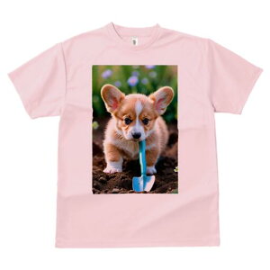 R[M[ TVc fB[X t@  t  vg JWA 킢 lԗp h ̃fUC ʔ  R[M[ Vx 